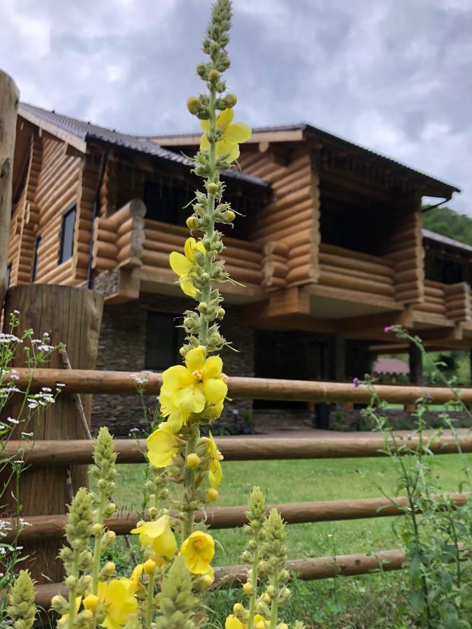 Casa Din Vale Hotel Sacuieu Buitenkant foto