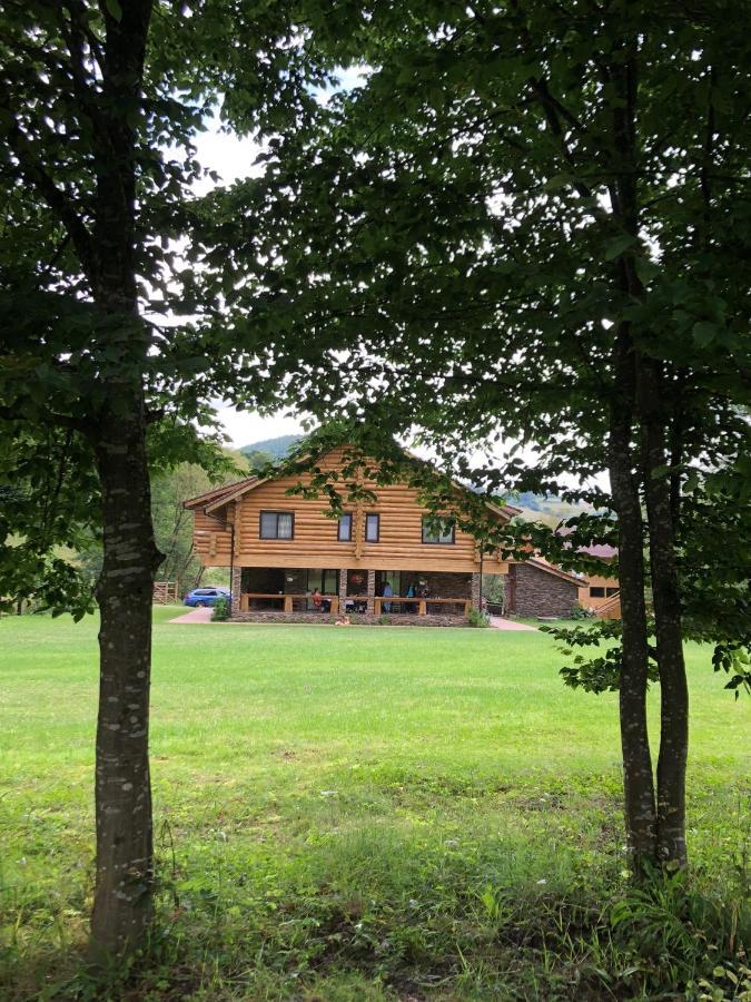 Casa Din Vale Hotel Sacuieu Buitenkant foto