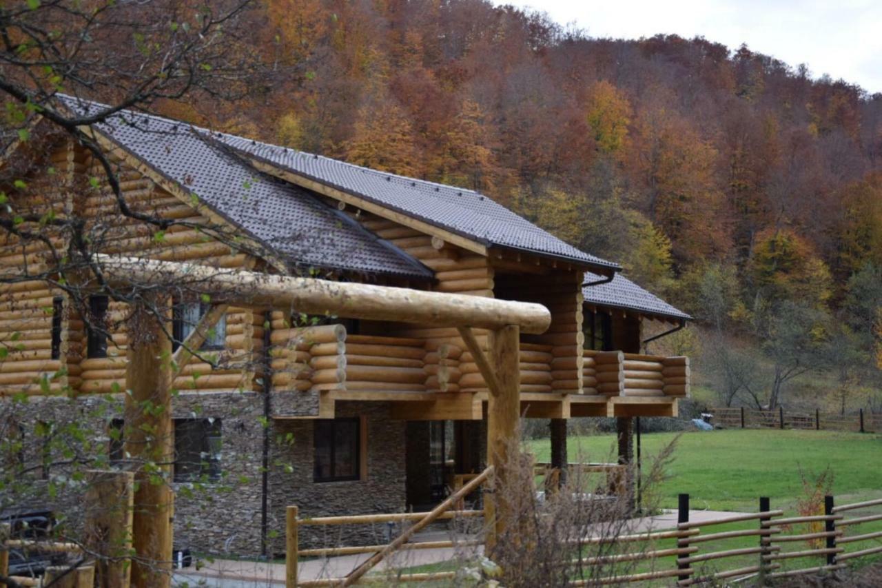 Casa Din Vale Hotel Sacuieu Buitenkant foto