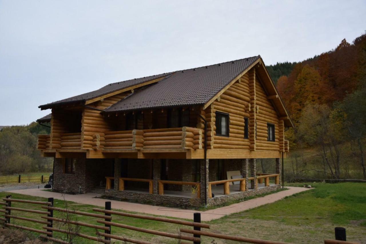 Casa Din Vale Hotel Sacuieu Buitenkant foto