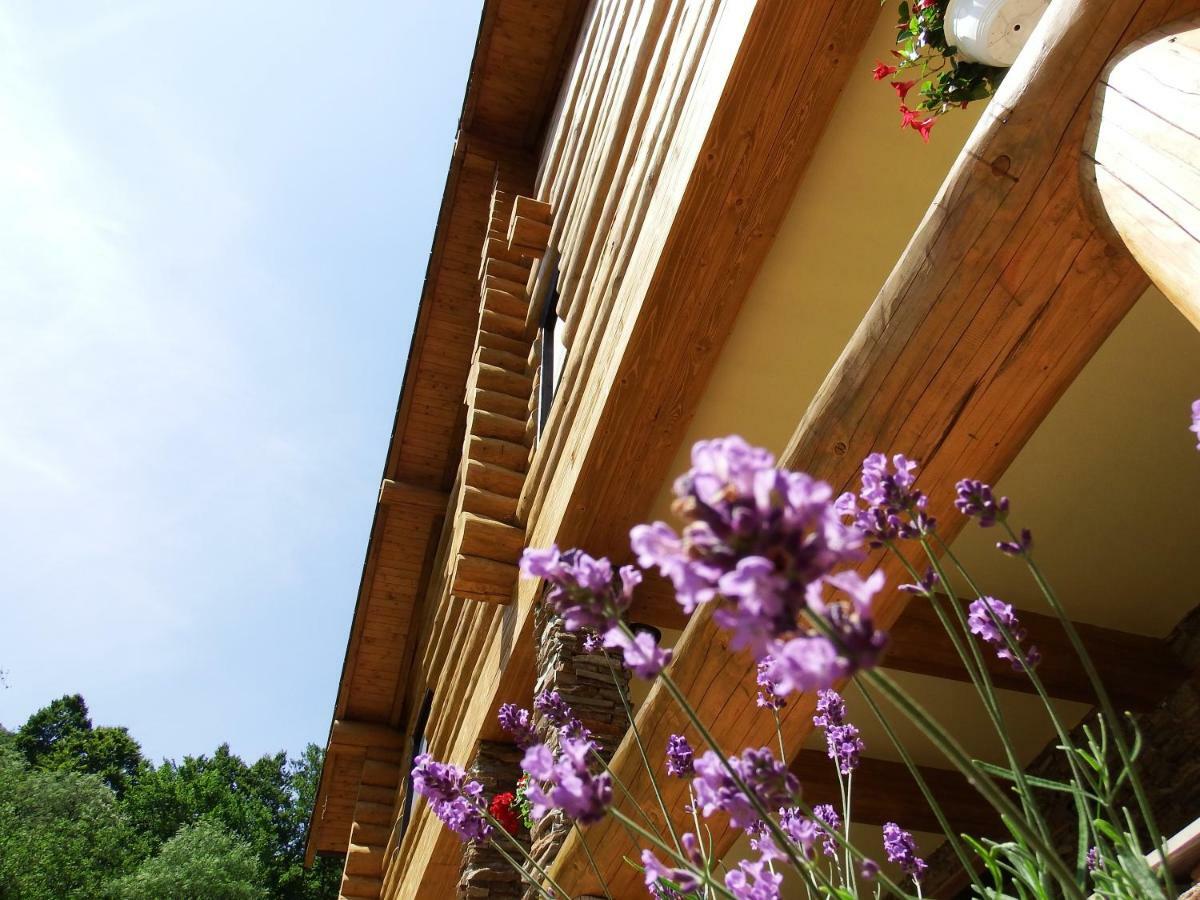 Casa Din Vale Hotel Sacuieu Buitenkant foto
