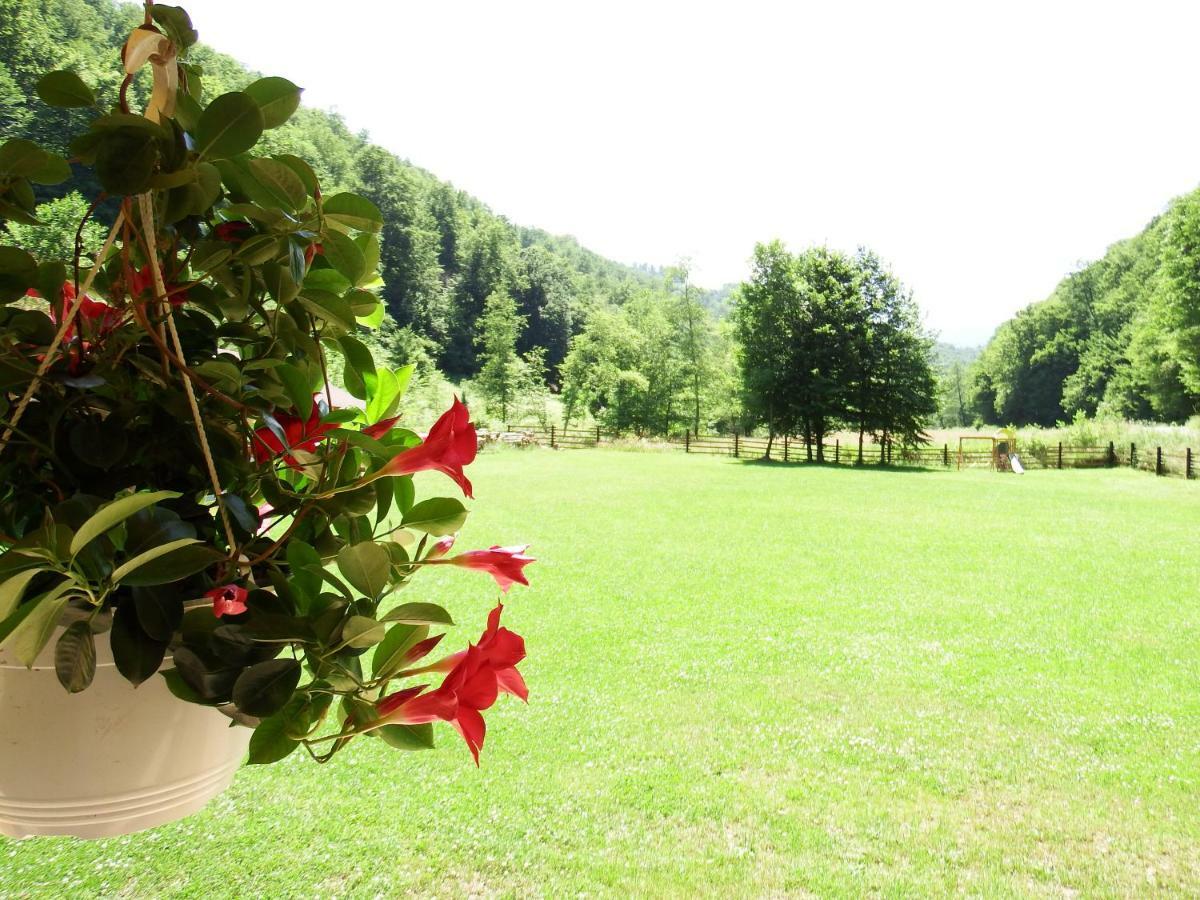 Casa Din Vale Hotel Sacuieu Buitenkant foto